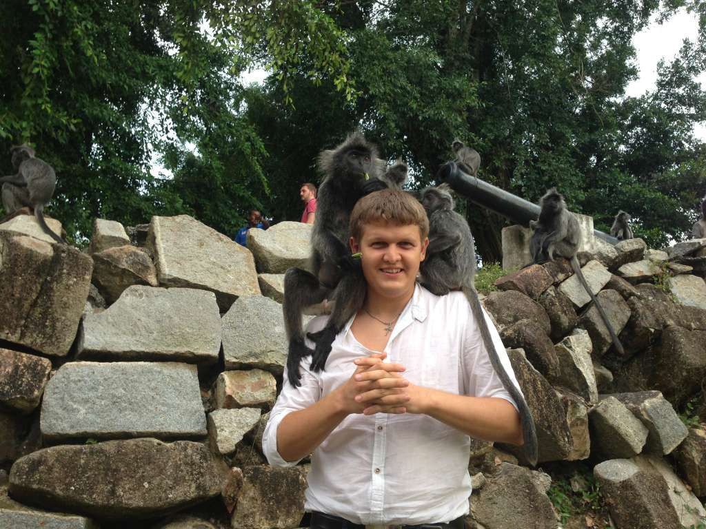 Колония веселых обезьян в пригороде Куала-Лумпура.